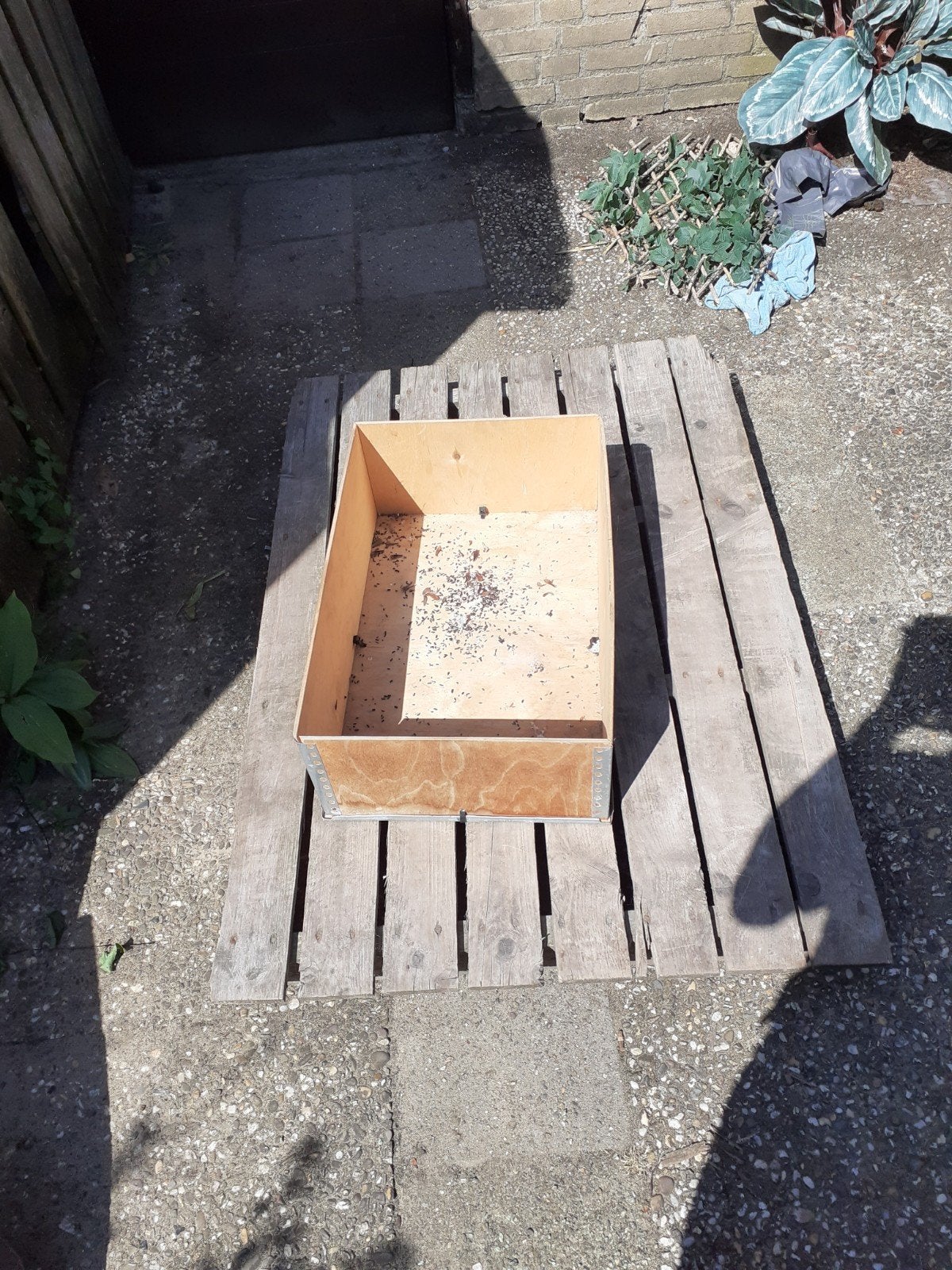 Gratis pallet en kist, Ophalen, 50 mm of meer, Minder dan 200 cm, Vuren