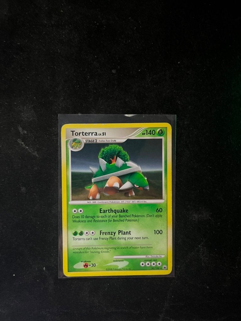 Torterra 30/100 - Pokemon Kaart, Ophalen of Verzenden, Zo goed als nieuw