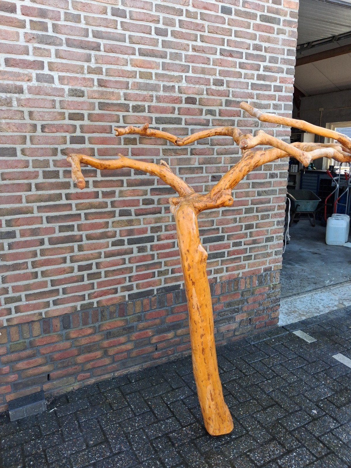mooie Java boom 180 hoog 150 breed, Dieren en Toebehoren, Mannelijk, Parkiet