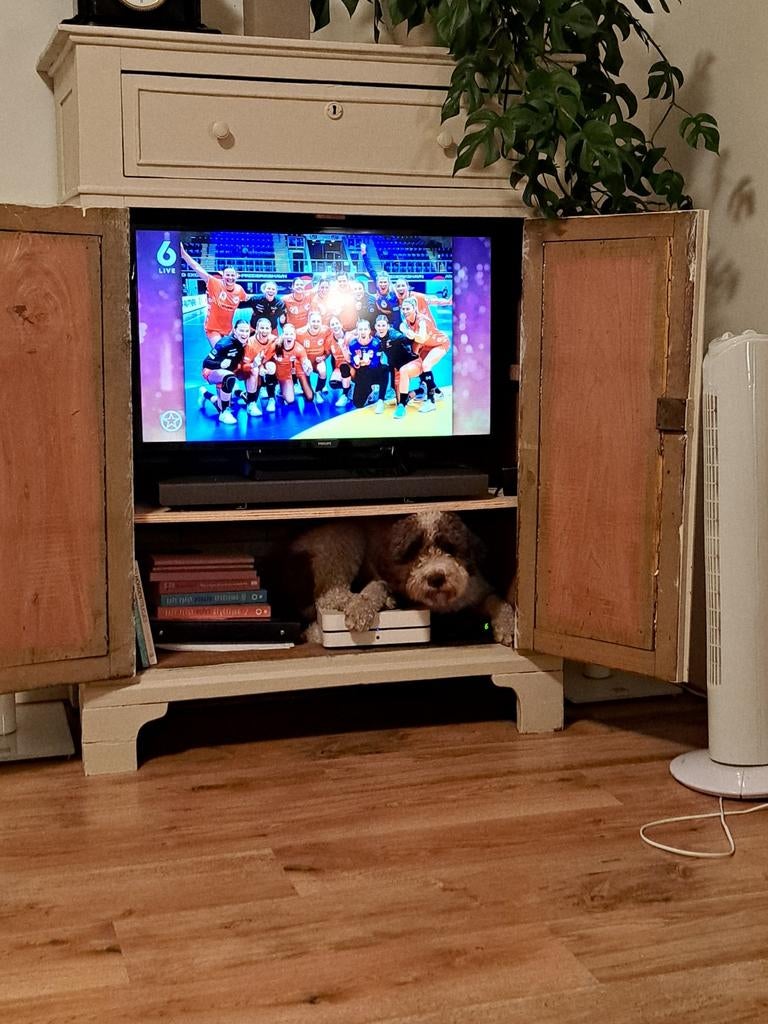 Ruime vintage tv/computerkast/opbergkast, Ophalen