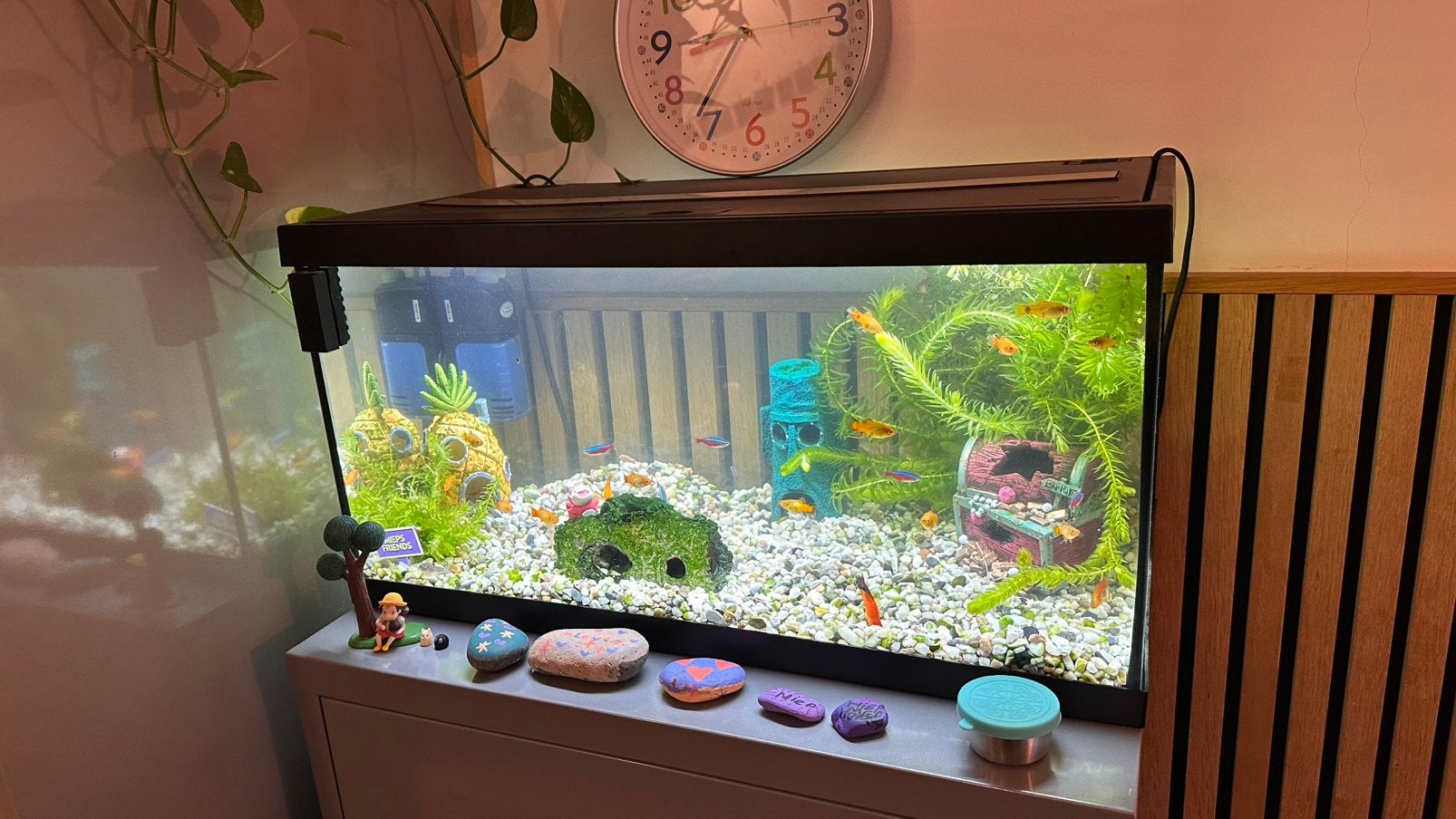 Compleet aquarium (60L) inclusief vissen en accessoires, Dieren en Toebehoren, Vissen | Aquariumvissen, Vis
