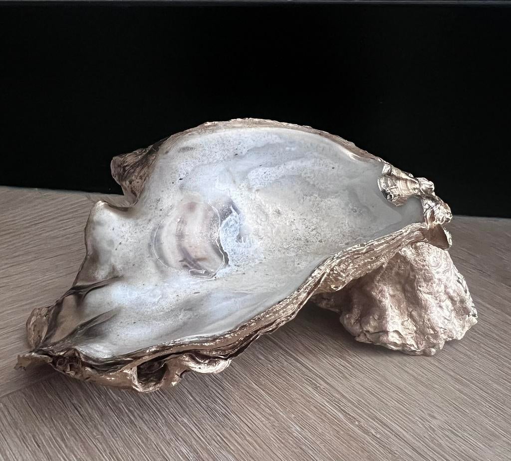 Gouden oesterschelp schaaltje, Ophalen of Verzenden, Schelp(en)