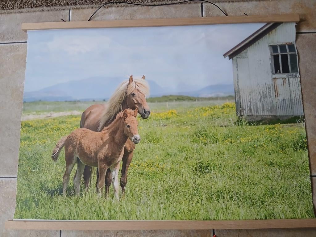 Linnen doek met paarden, Ophalen