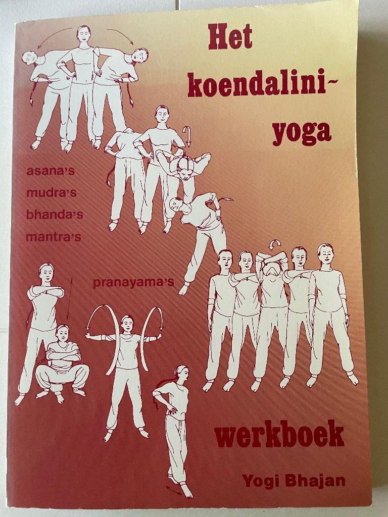 Het koendalini yoga werkboek, Boeken, Bhanjan, Ophalen of Verzenden, Zo goed als nieuw, Overige onderwerpen