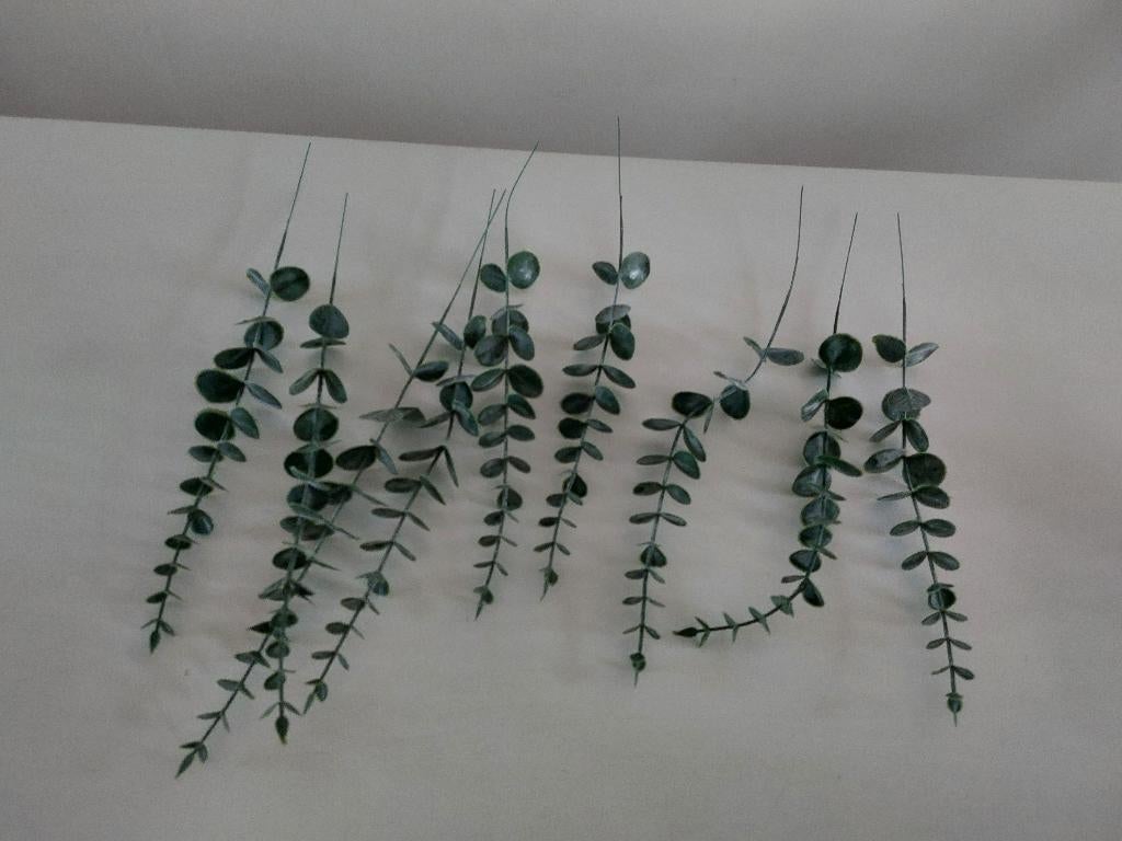 Tak eucalyptus, Huis en Inrichting, Woonaccessoires | Kunstplanten en Kunstbloemen, Ophalen of Verzenden, Zo goed als nieuw