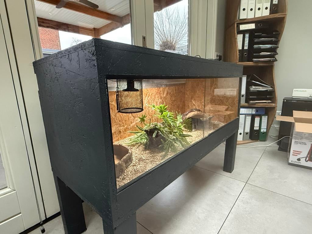 Terrarium met toebehoren, Dieren en Toebehoren, Reptielen en Amfibieën | Toebehoren, Zo goed als nieuw, Ophalen of Verzenden