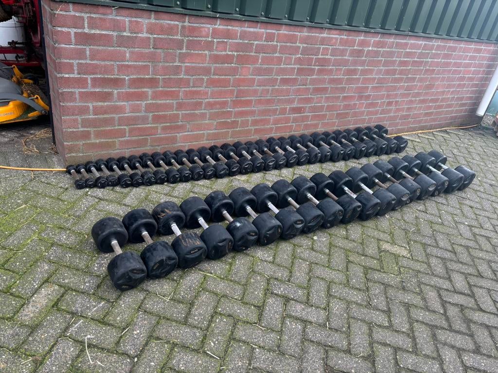 Lifemaxx dumbbellset 12-30 kg, Ophalen, Lifemaxx, Lifemaxx, Zo goed als nieuw