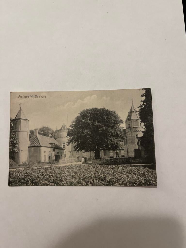 Oude ansichtkaart Westhove bij Domburg, Ophalen of Verzenden, Ongelopen, Zeeland