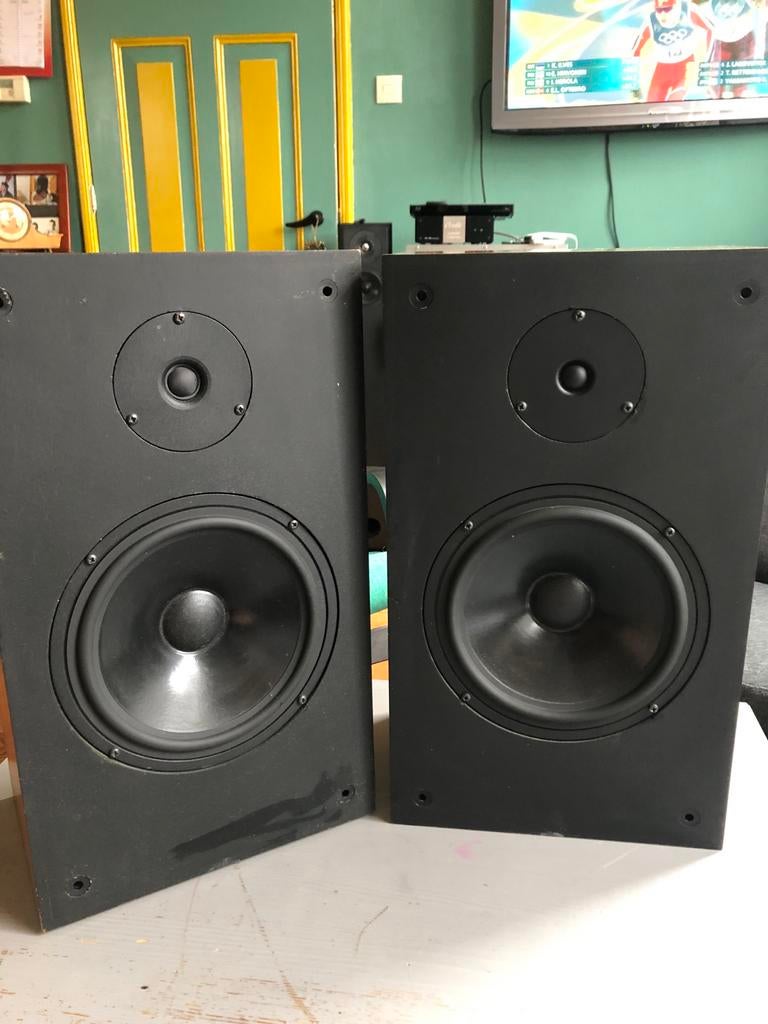 Audio Note AN-K/D Speakers - Uitstekende Staat, Audio, Tv en Foto, Luidsprekers, Overige merken, Gebruikt, Ophalen of Verzenden