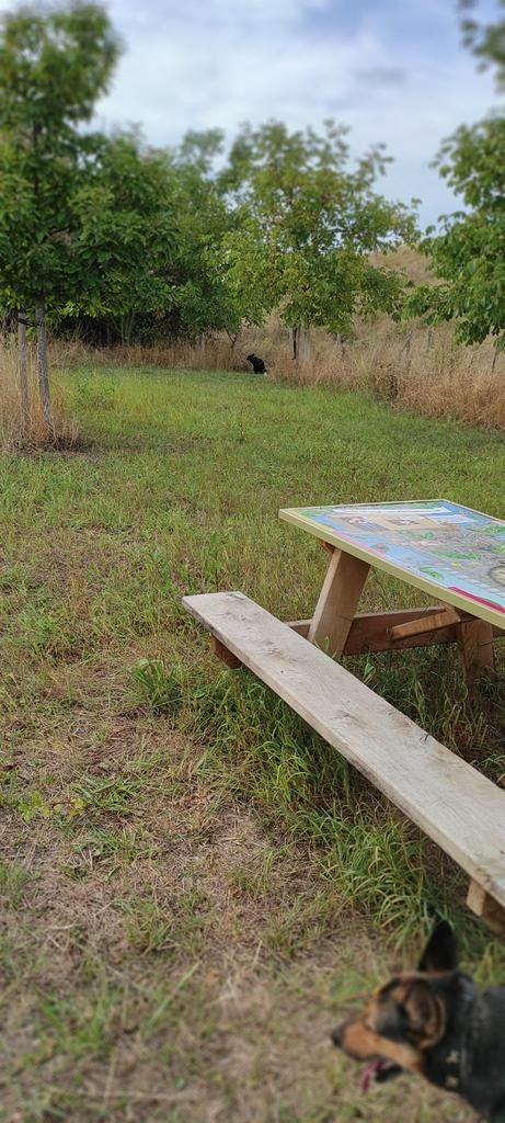 kleinschalige opvang - R U S T I G E roedel ., Diensten en Vakmensen, Particuliere oppas