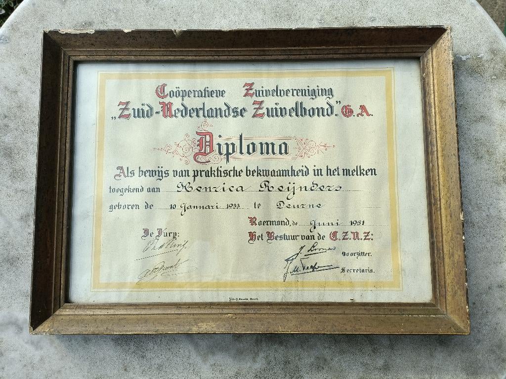 Diploma 'Als bewijs van praktische bekwaamheid in het melken, Minder dan 50 cm, Gebruikt, Overige typen, Ophalen of Verzenden