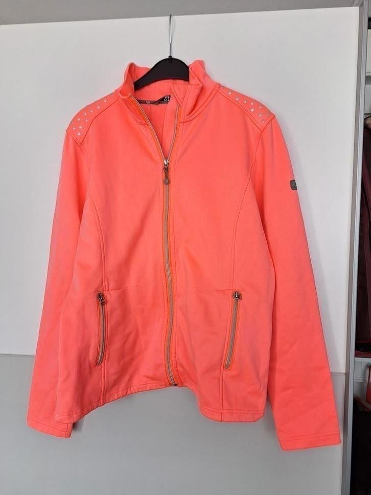 Anky vest XL zgan, Ophalen of Verzenden, Zo goed als nieuw, Dames, Bovenkleding