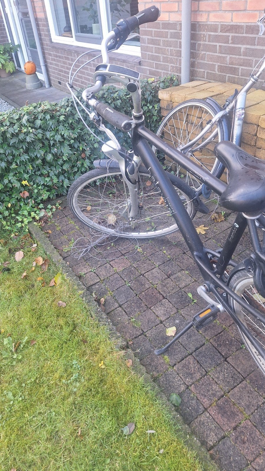 Batavus Mambo Damesfiets - Gebruikt, Ophalen, Velgrem, Versnellingen, Batavus