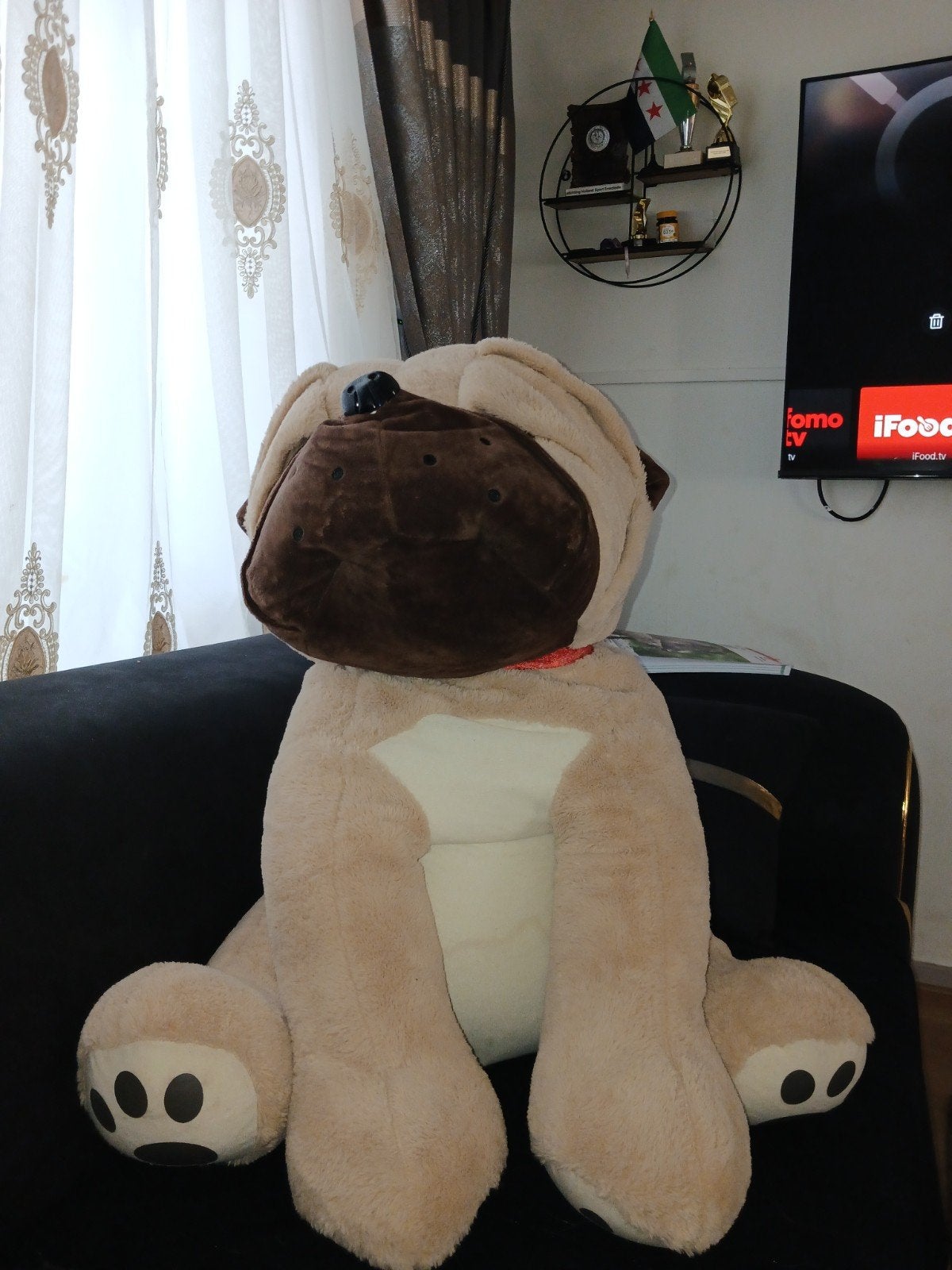 honden knuffel, Ophalen
