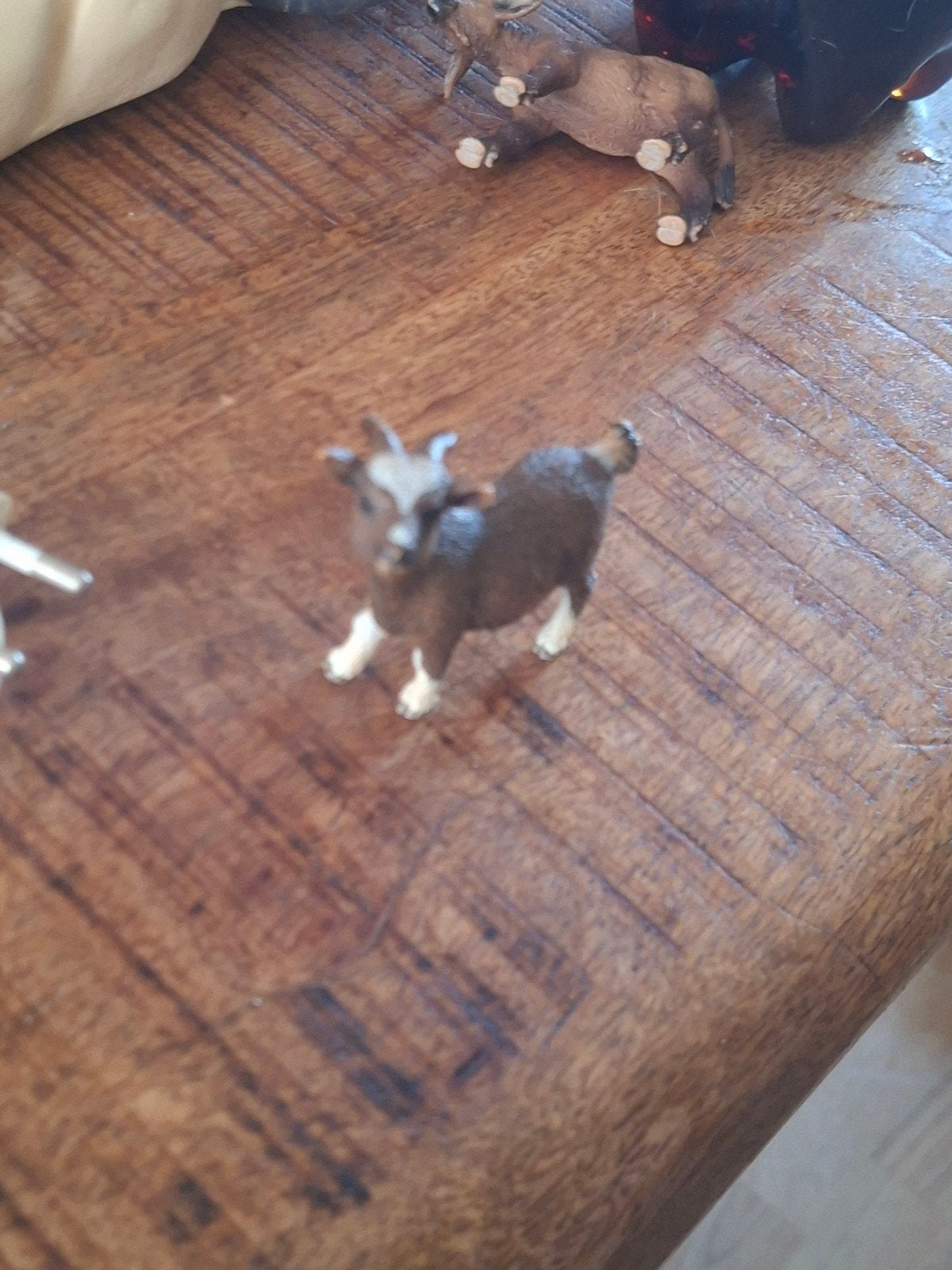 Schleich geit, Ophalen of Verzenden, Zo goed als nieuw, Boerderijdier, Beeldje of Figuurtje