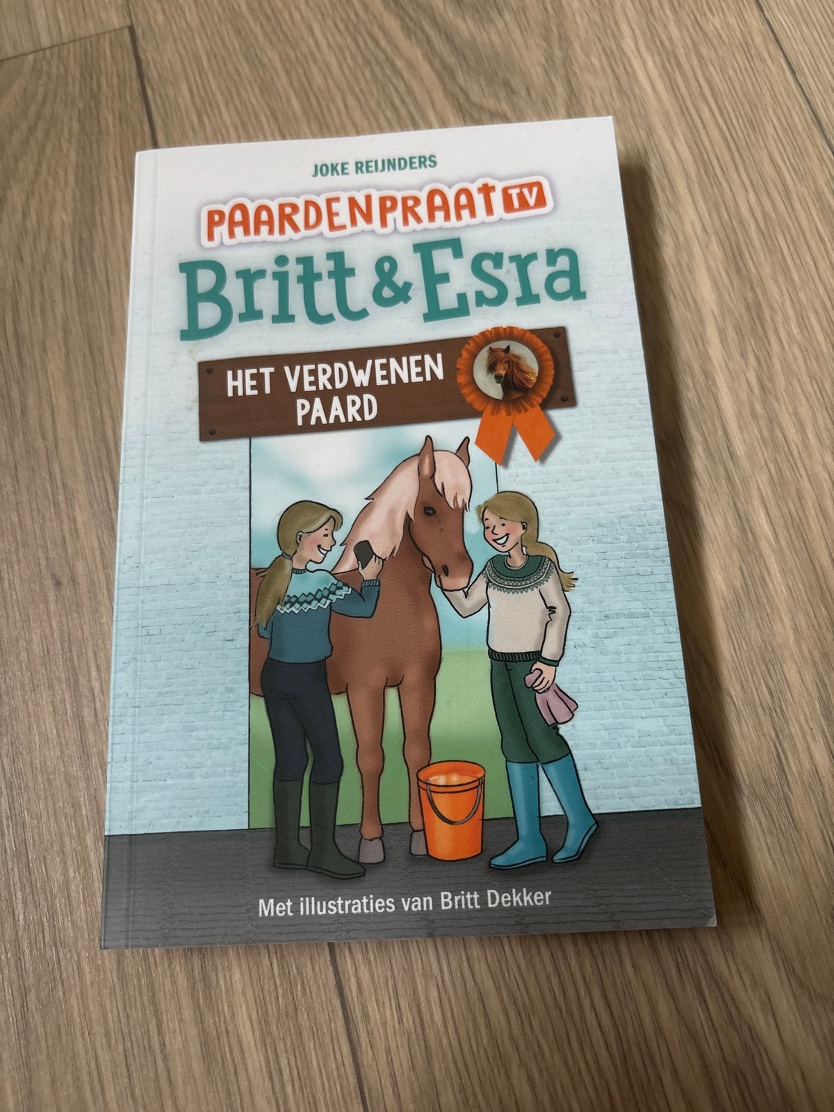 Joke Reijnders - Het verdwenen paard, Ophalen of Verzenden, Zo goed als nieuw, Joke Reijnders