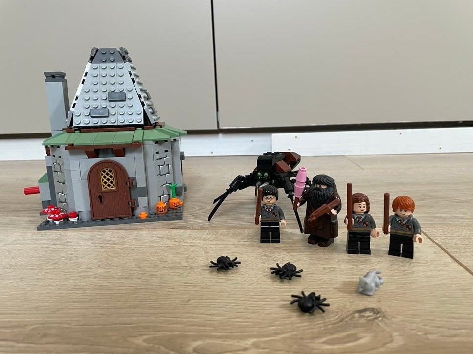 LEGO 4738 Harry Potter Hagrid's Hut, Ophalen of Verzenden, Zo goed als nieuw