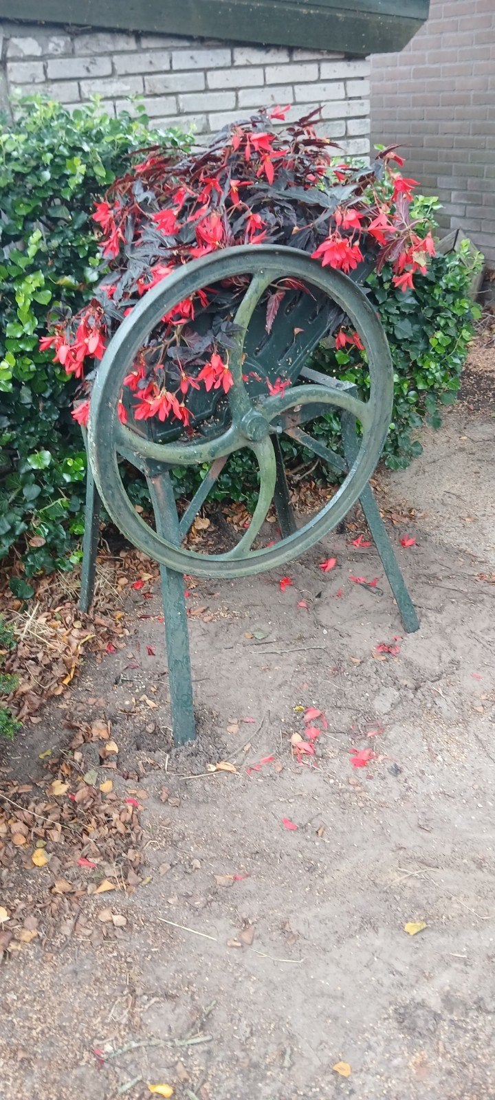Decoratieve bietenmachine voor bloemen, Ophalen, Gebruikt