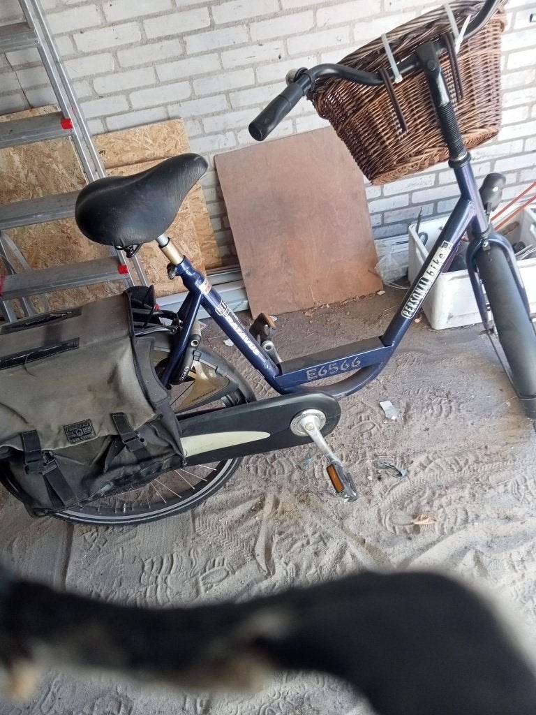 Fiets, Ophalen of Verzenden, Gebruikt, Terugtraprem, Overige merken