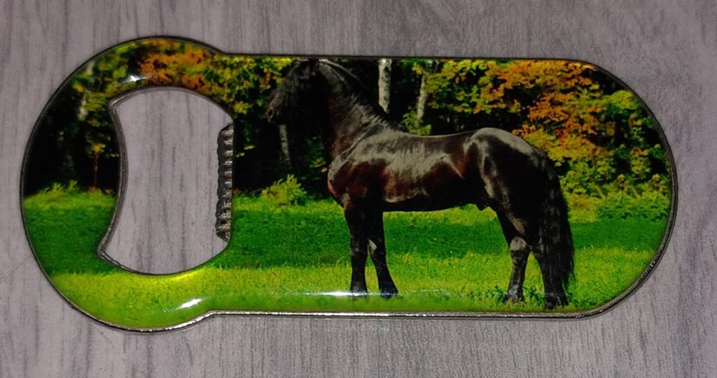 Nieuwe flesopener met Fries paard, Ophalen of Verzenden, Nieuw, Meerkleurig, Metaal