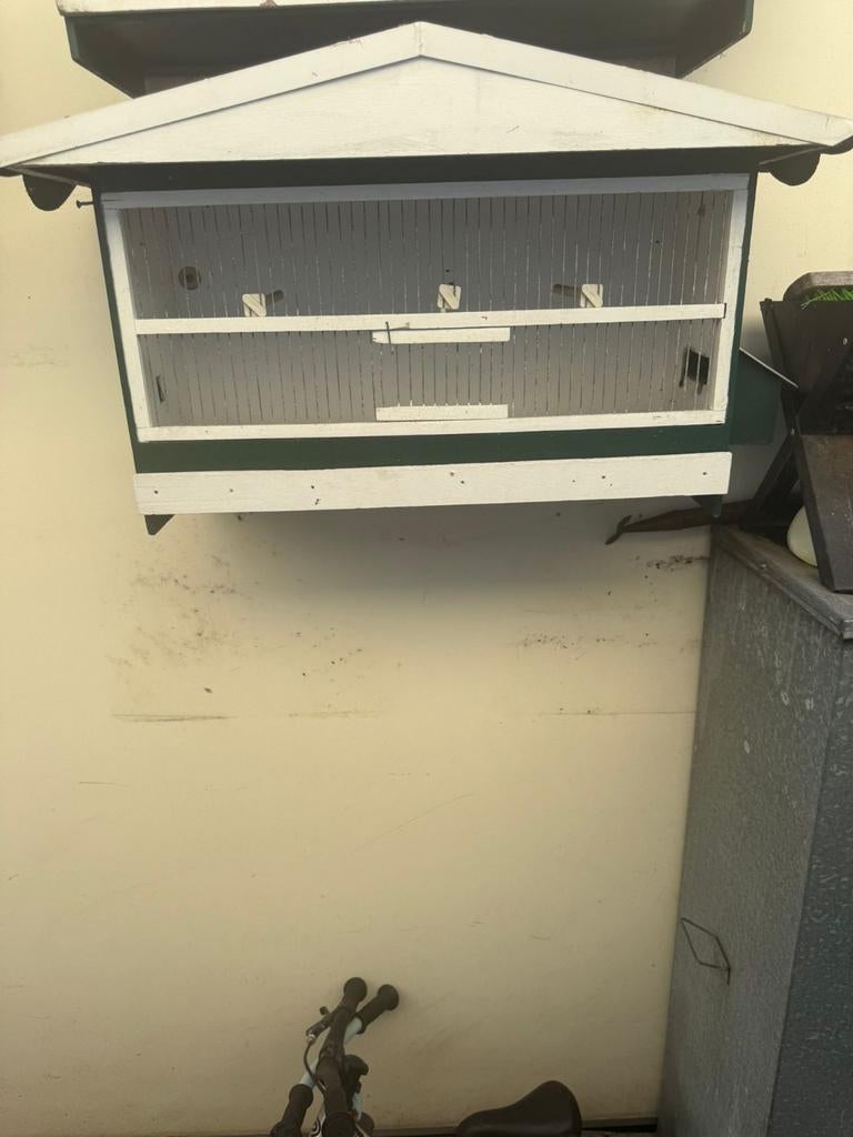 Vogelkooien, Mannelijk