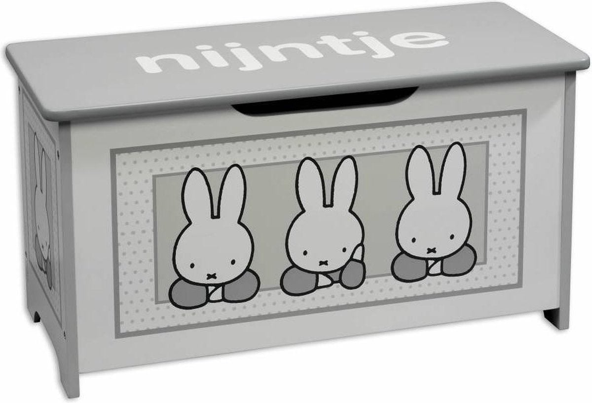 Nijntje Opbergbox - Gebruikt, maar in goede staat, Ophalen, Gebruikt, Jongen of Meisje
