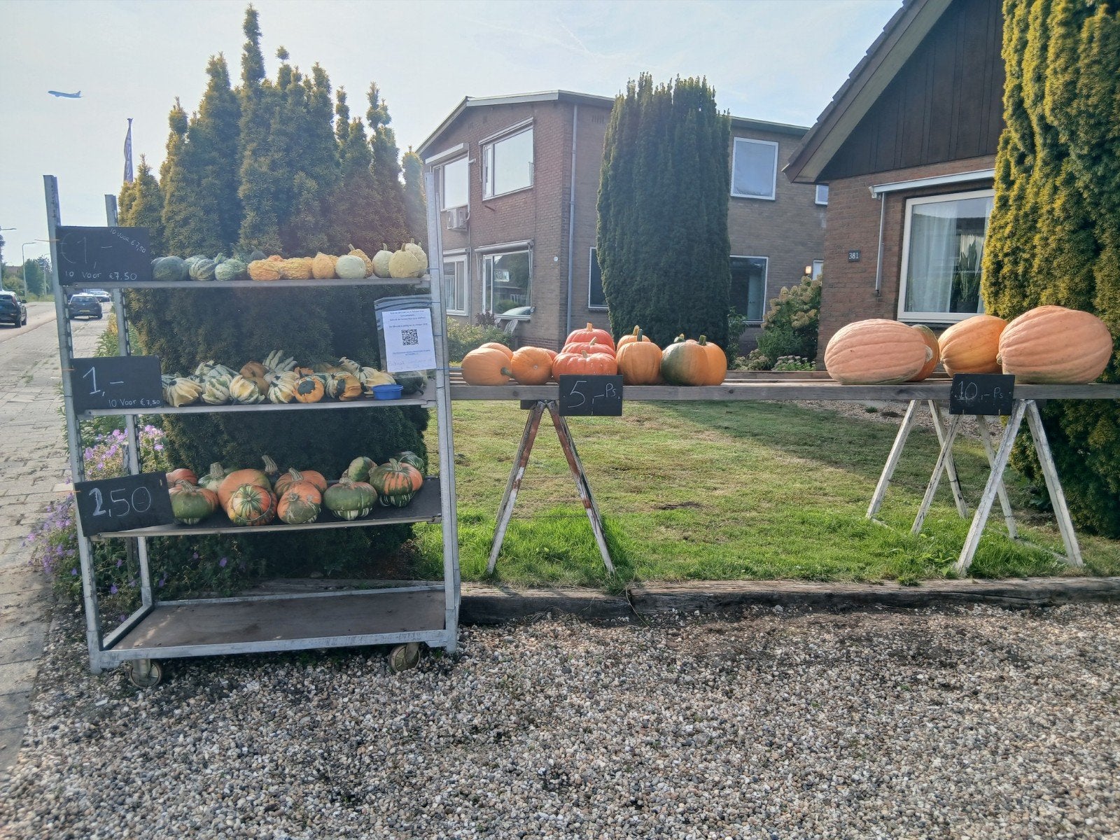 sier kalebassen, pompoenen, Ophalen, Nieuw