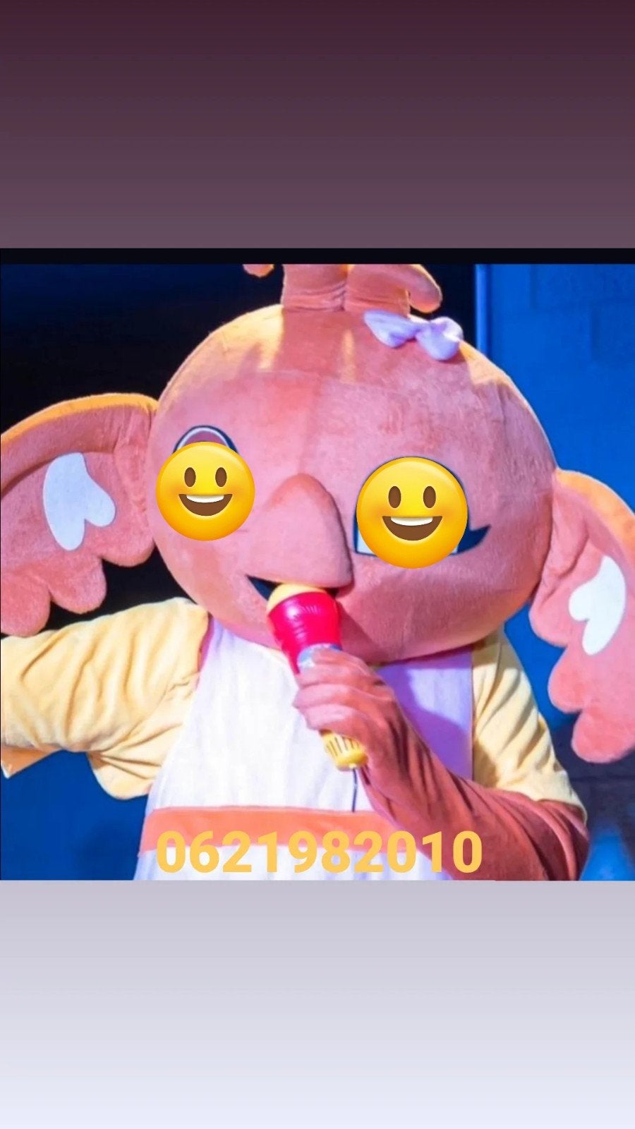 mascotte te huur vriendinnetje van het konijn, Ophalen of Verzenden, Zo goed als nieuw