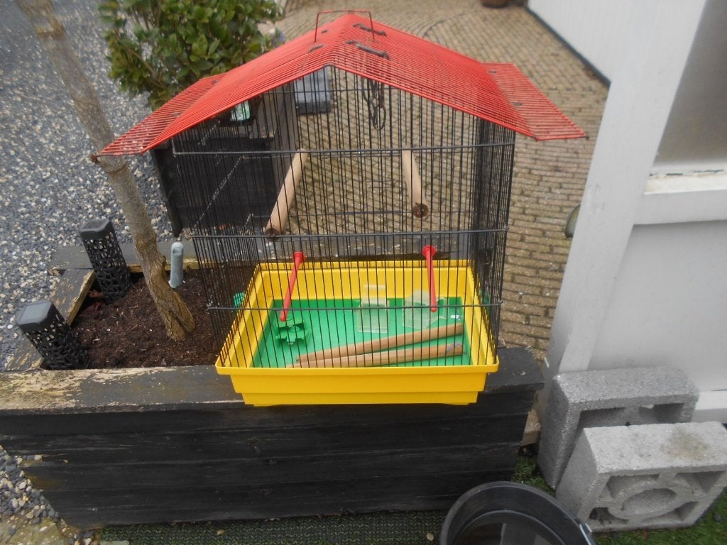 Vogelkooi met toebehoren, Ophalen, Gebruikt, Metaal, Vogelkooi