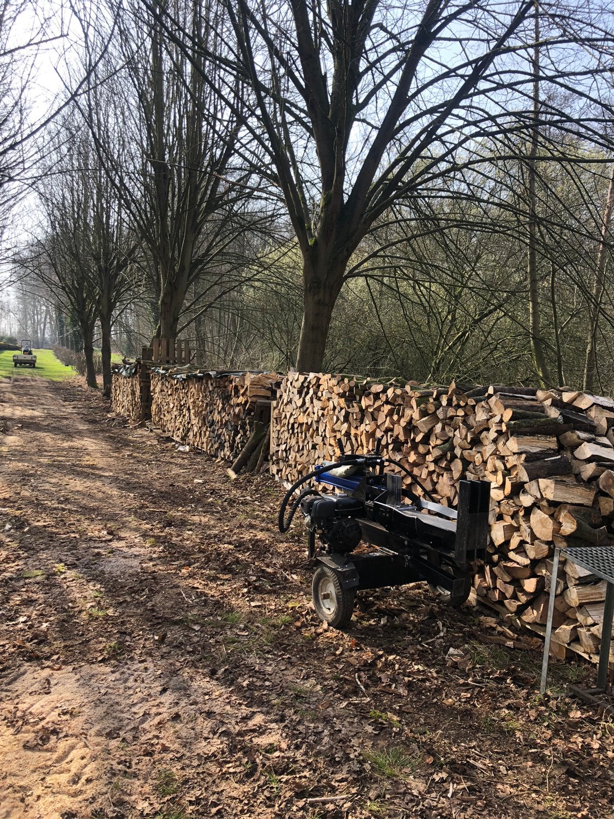 Gekloofd Haardhout - Diverse Soorten eiken essen  beuk hout, Tuin en Terras, Minder dan 3 m³, Ophalen, Overige houtsoorten, Blokken