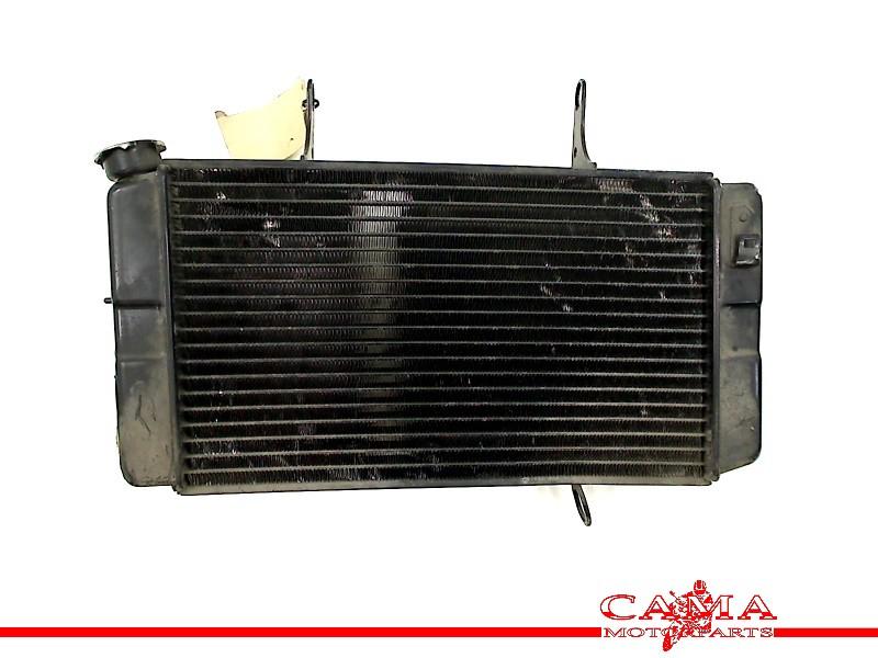 Radiateur Yamaha FZS 600 Fazer 2002-2003 (FZS600) 2002, Yamaha Motor Europe N.V., Gebruikt, Customersupport@yamaha-motor.co.uk