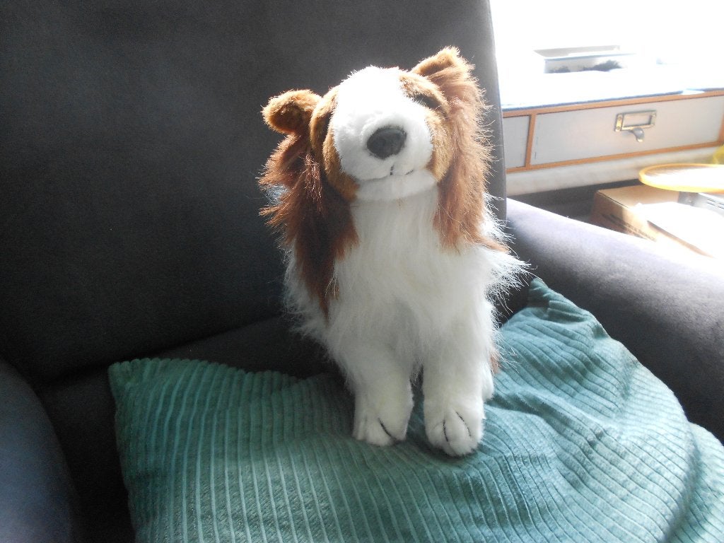 Hond Sheltie knuffel, Ophalen, Overige merken, Overige karakters, Hond