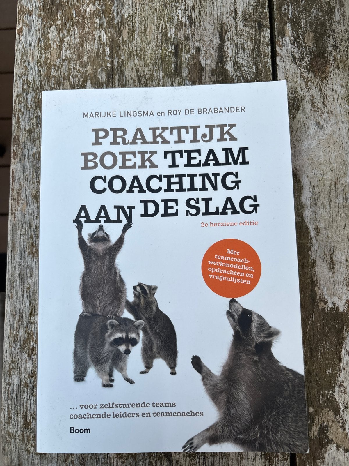 Praktijkboek Teamcoaching Aan De Slag - 2e herziene editie, Ophalen of Verzenden, Zo goed als nieuw