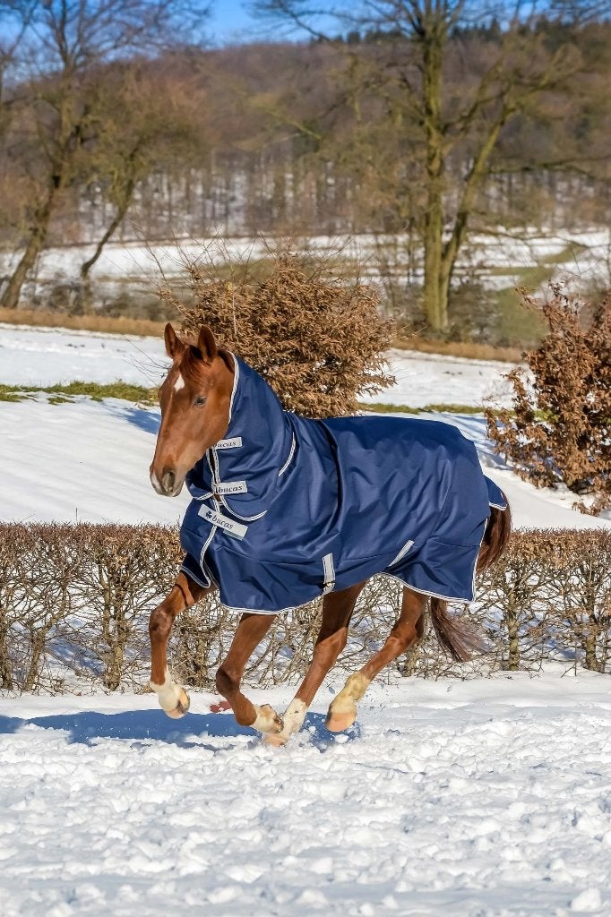 Bucas Freedom T/O 150/150 F/N 105/137, Dieren en Toebehoren, Nieuw, Maasbracht, Ophalen of Verzenden, Gersalsport@home.nl