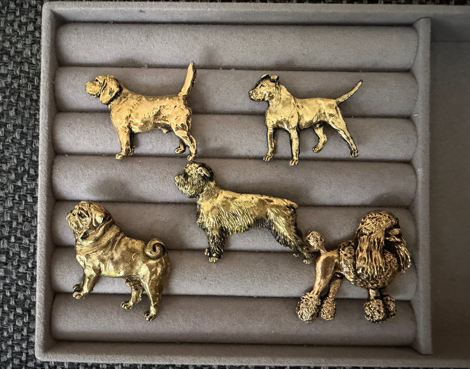 5 tinnen speldjes van diverse honden - Goudkleurig, Ophalen of Verzenden, Zo goed als nieuw, Goud, Overige materialen