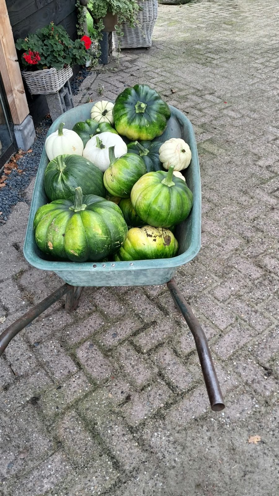 Pompoenen en kalebassen te koop, Ophalen, Zo goed als nieuw