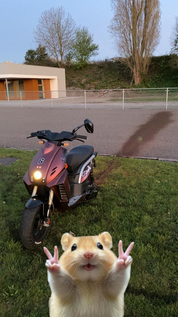 Zeldzame peugeot ludix blaster (lc), Fietsen en Brommers, Scooters | Peugeot, Ophalen, Tweetakt, Gebruikt, Maximaal 45 km/u
