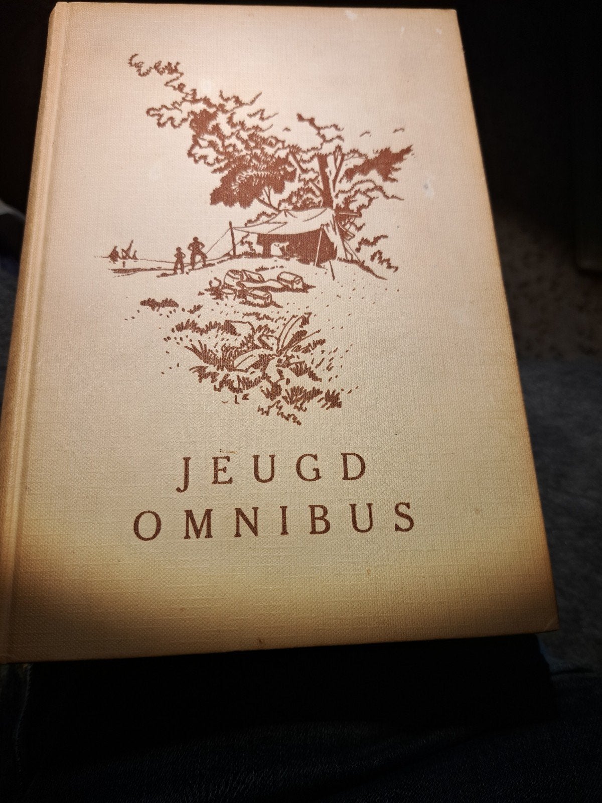 jeugdomnibus,robin hood,tom sawyer,stuurman flink, Ophalen of Verzenden, Gelezen