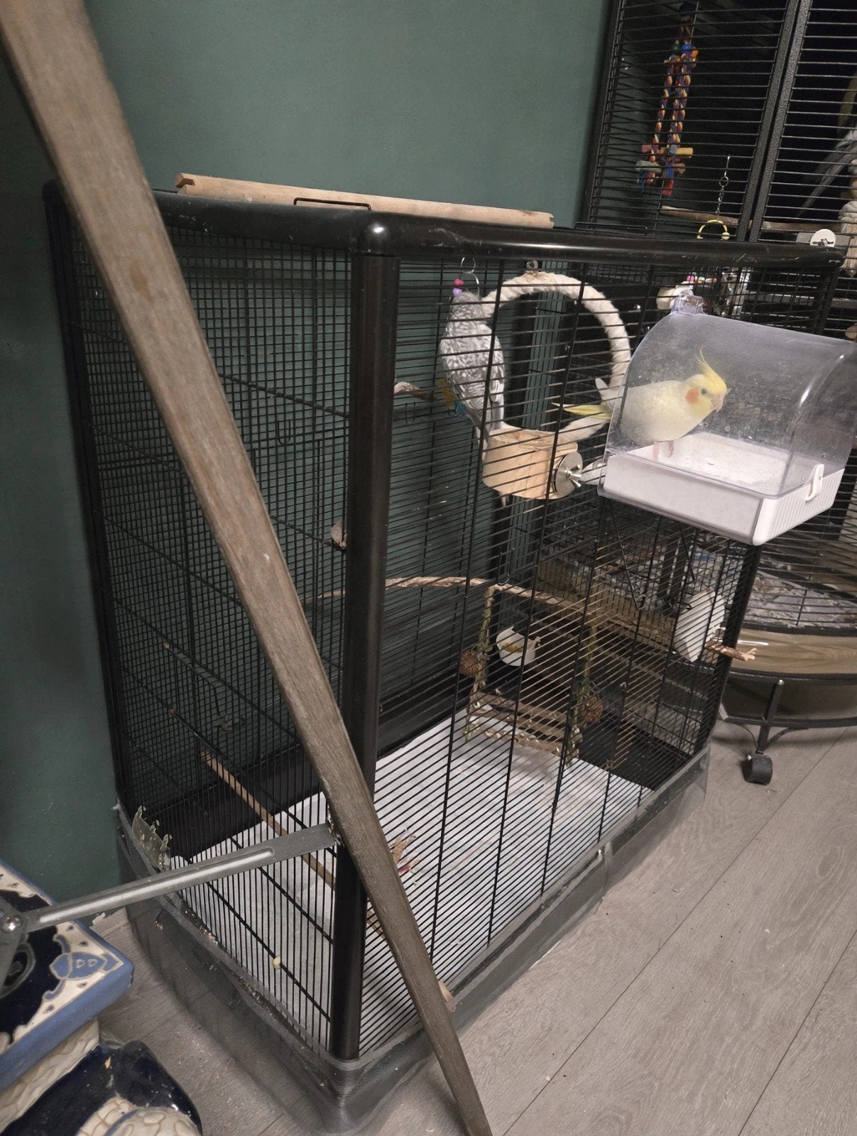valk parkieten, Dieren en Toebehoren, Ophalen, Gebruikt, Metaal, Vogelkooi