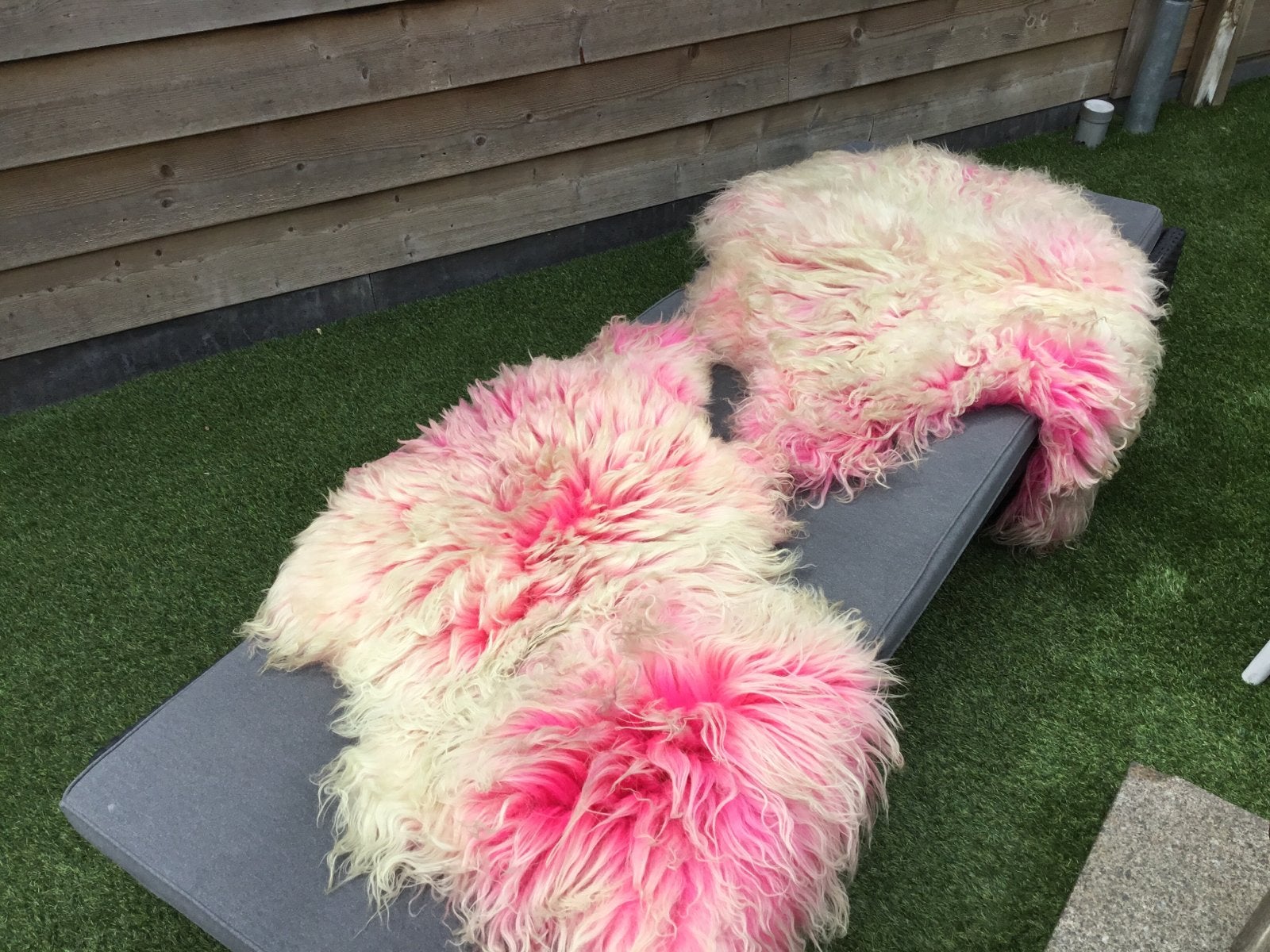 2 felroze lederen schapenvachten, Zo goed als nieuw, Roze, Overige vormen, 50 tot 100 cm