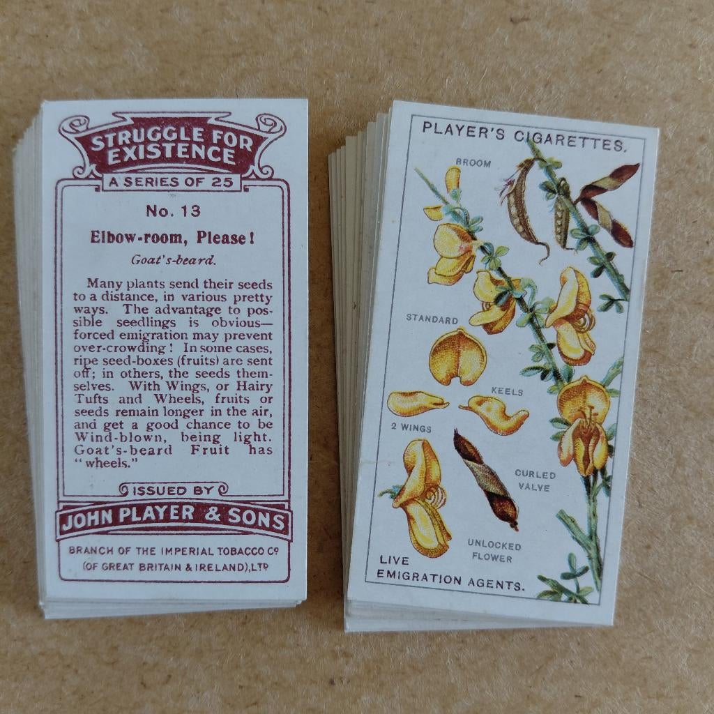 Struggle for Existence complete set 25 cigarette cards 1923, Ophalen, Gebruikt