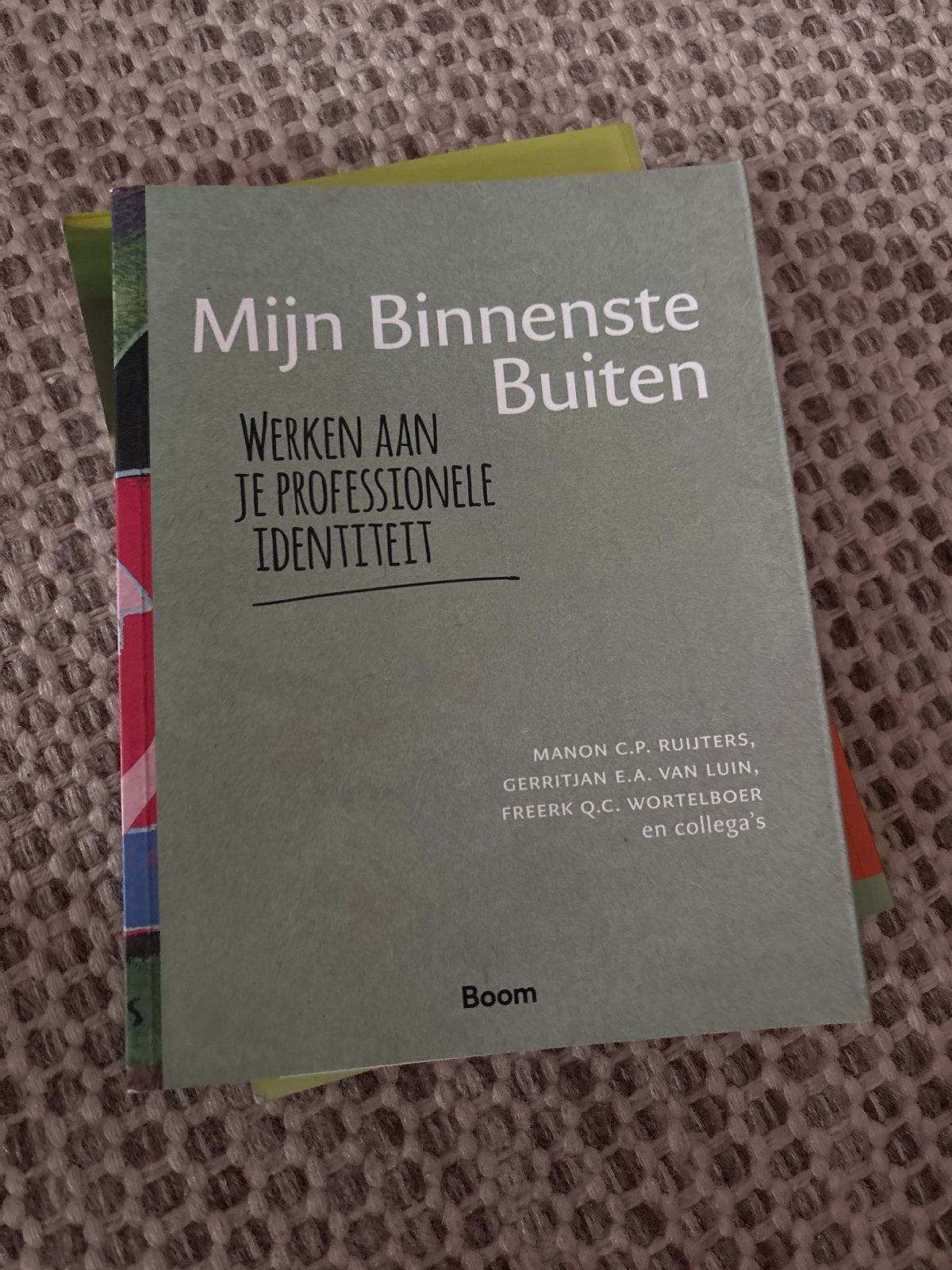 Mijn Binnenste Buiten: Werken aan je Professionele Identitei, Ophalen of Verzenden, Gamma, Zo goed als nieuw, HBO