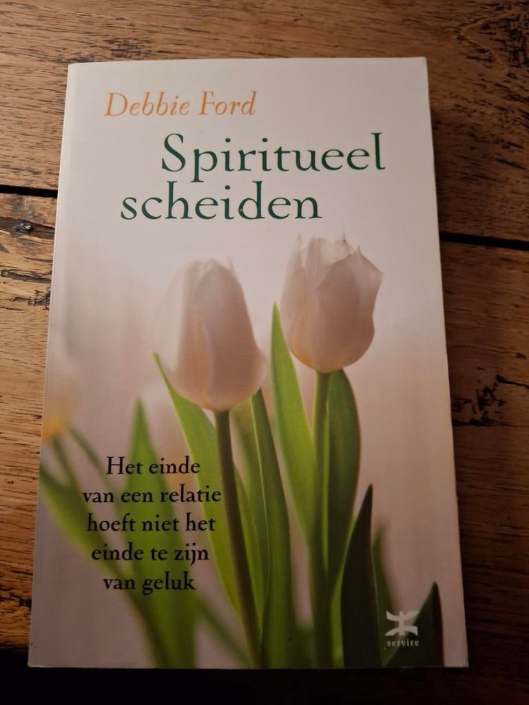 Debbie Ford - Spiritueel scheiden, Boeken, Gelezen, Spiritualiteit algemeen, Ophalen of Verzenden, Achtergrond en Informatie