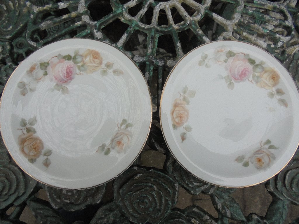 2 Gebaksbordjes Thomas Bavaria met pastel roze grote rozen, Ophalen of Verzenden