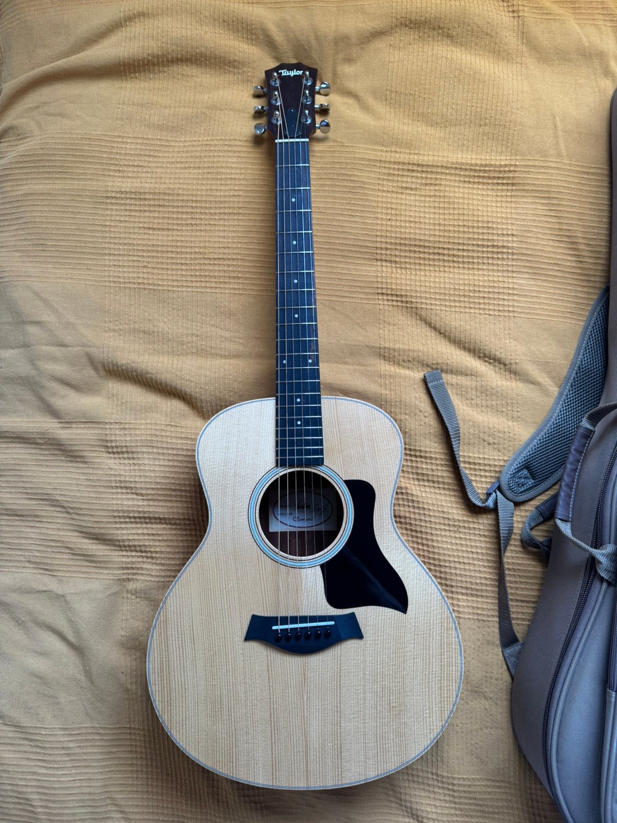 Taylor GS Mini Sapele, Ophalen, Zo goed als nieuw, Western- of Steelstringgitaar