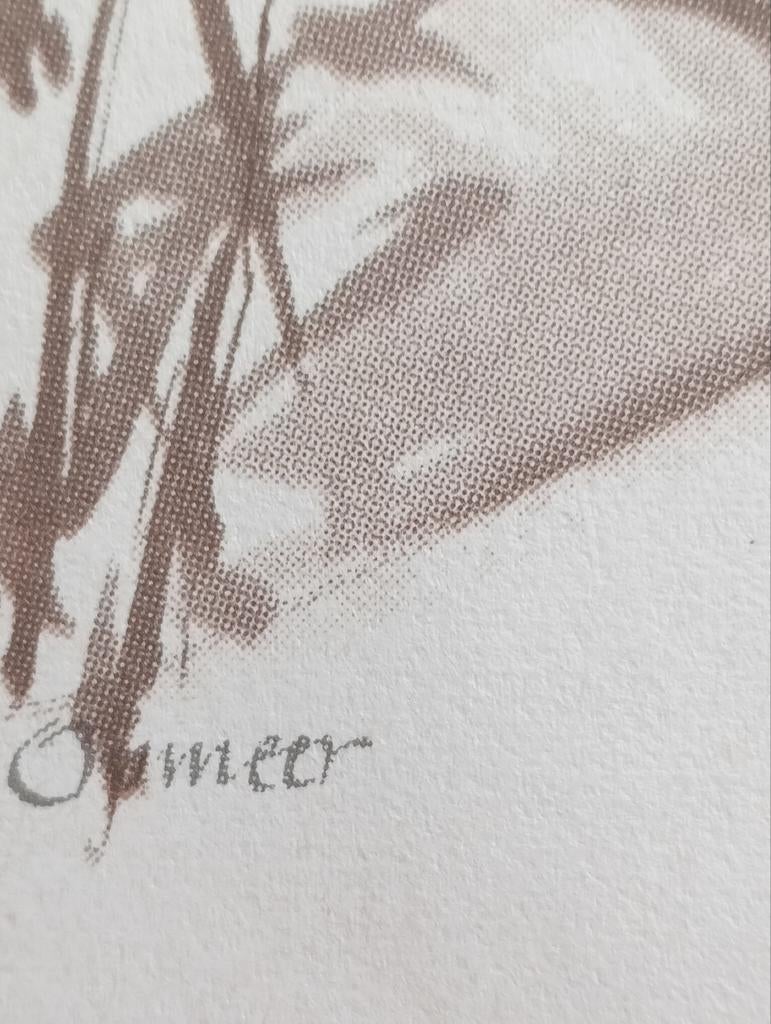 Opmeer print, Antiek en Kunst, Ophalen of Verzenden