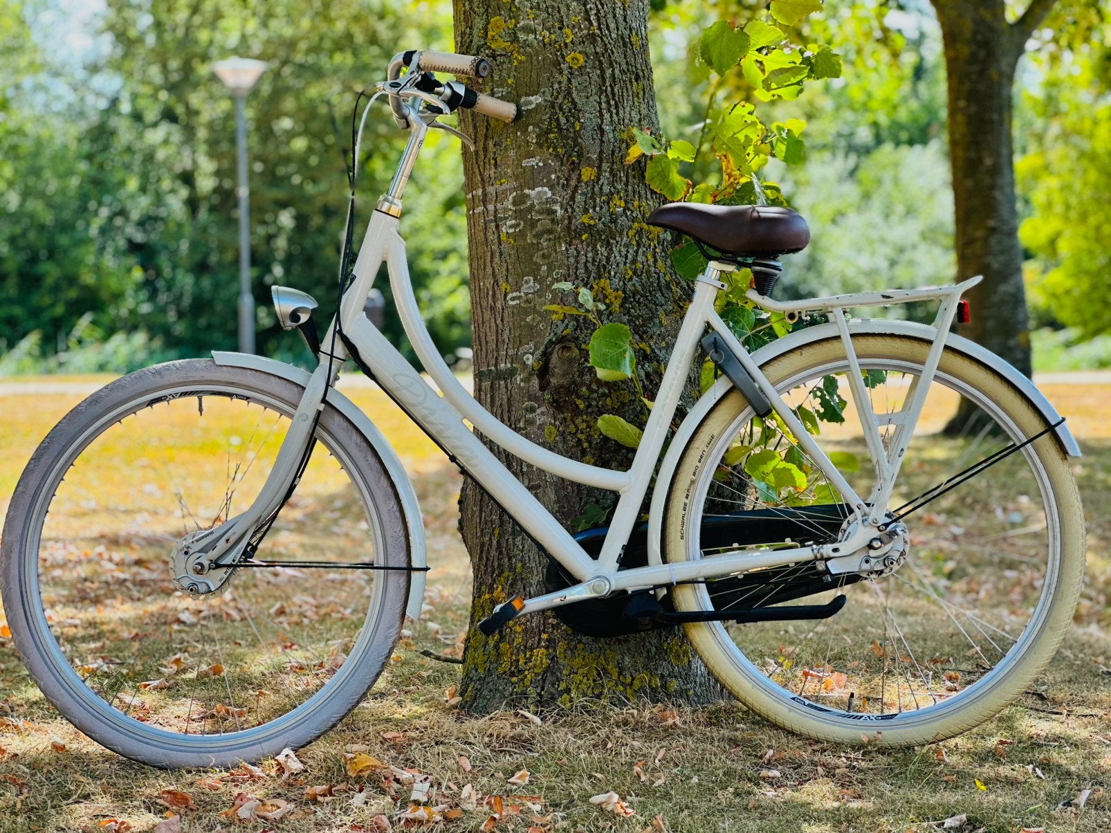 Batavus damesfiets 28inch - 7 versnellingen - rijklaar, Fietsen en Brommers, Ophalen, 53 tot 56 cm, Versnellingen, Batavus