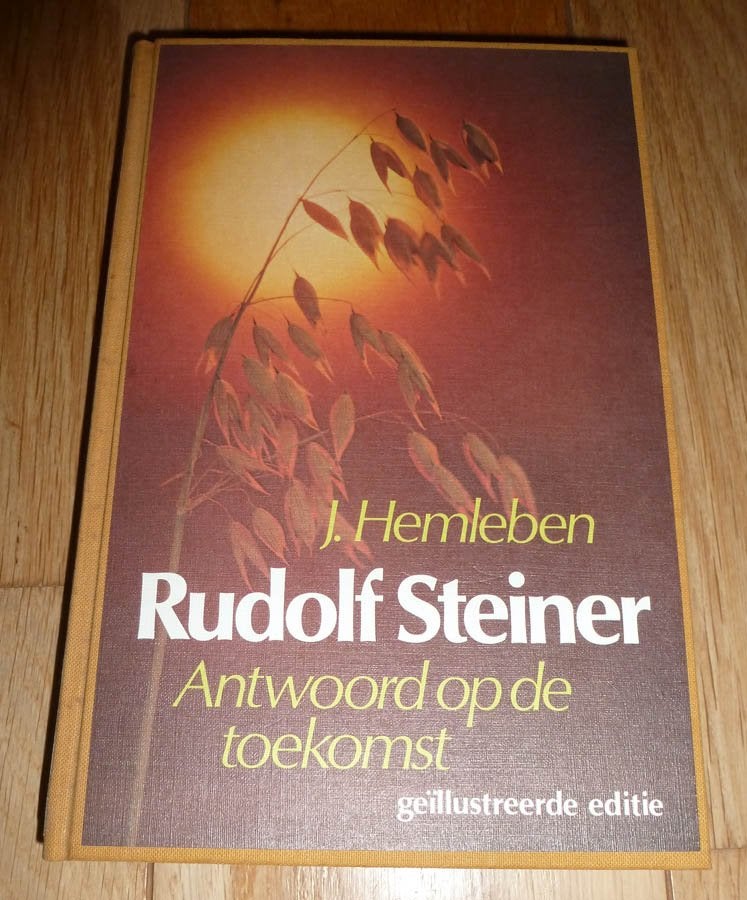 RUDOLF STEINER / Hemleben, Antwoord op de Toekomst, Ophalen of Verzenden, Gelezen