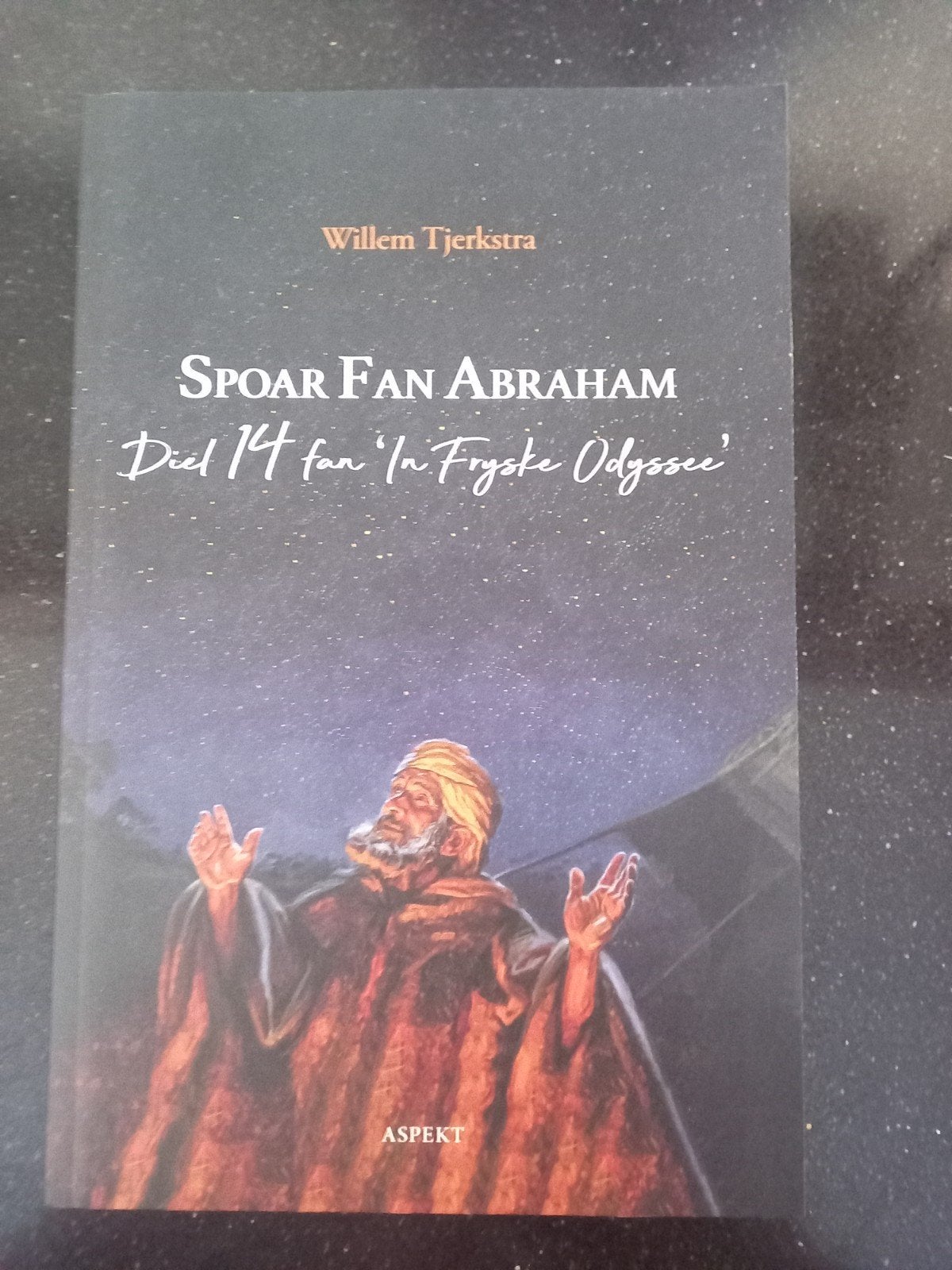 Willem Tjerkstra - Spoar fan Abraham, Boeken, Ophalen of Verzenden, Zo goed als nieuw, Willem Tjerkstra