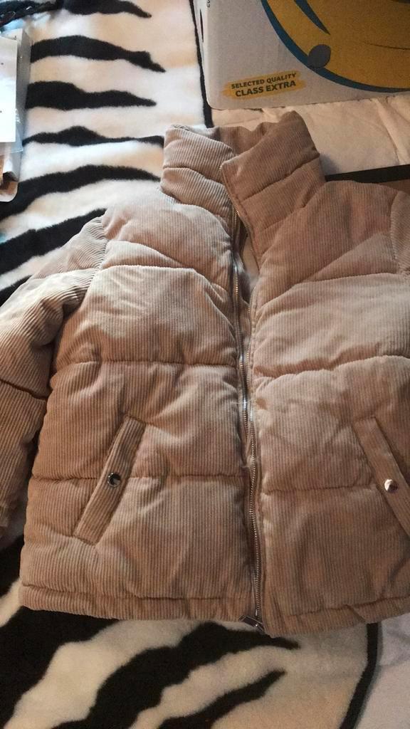 Saint Germain beige korte winter jas corduroy L nieuw, Kleding | Dames, Jassen | Winter, Ophalen of Verzenden, Nieuw, Beige